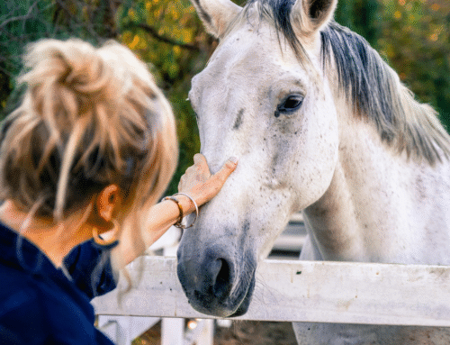 Equine-Assisted Psychotherapy Trainings for Therapists: Expanding Your Modalities to Better Serve Clients